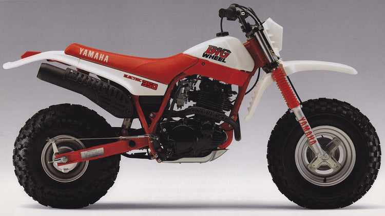 Shop Yamaha BW350 Parts