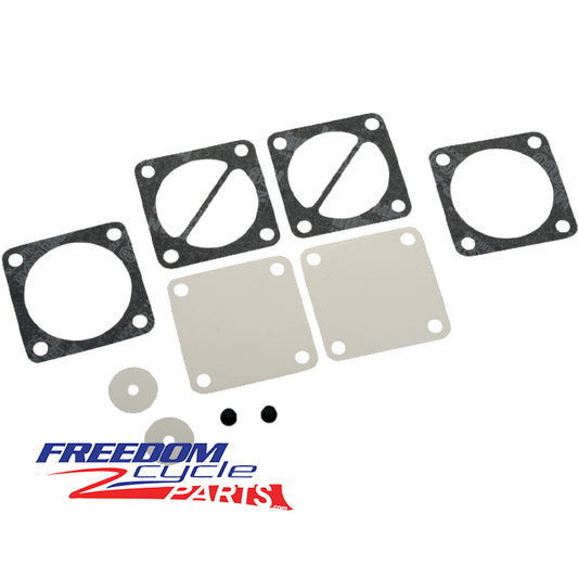 Ski-Doo Freestyle 300 Fuel Pump Rebuild Kit