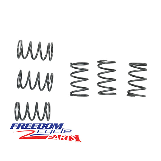 Kawasaki KLX 110 Clutch Springs