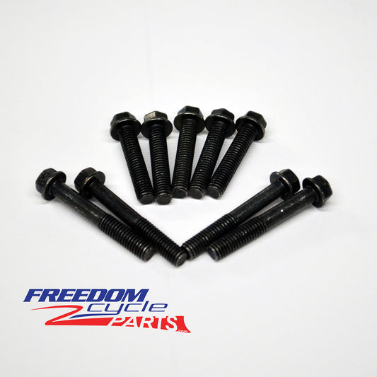 Yamaha Snoscoot 80 OEM Clutch/Kickstart Cover Bolt Kit