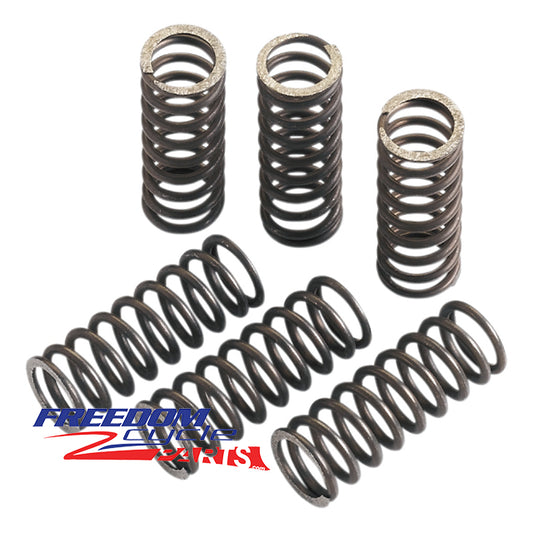 Suzuki RMX 250 Clutch Springs